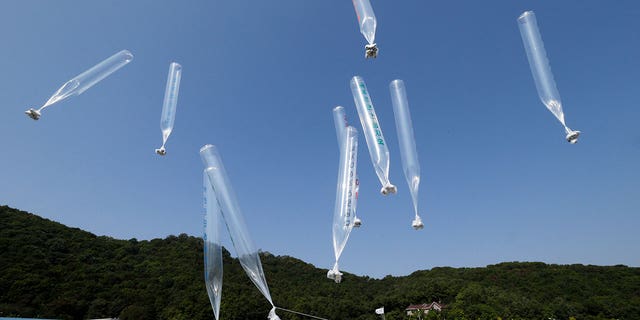 North Koran defectors release balloons carrying leaflets condemning North Korean leader Kim Jong Un and his government's policies, in Paju, near the border with North Korea, South Korea on Oct. 10, 2014.