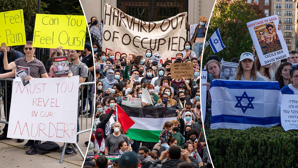 pro-Palestinian rallies in left, center, pro-Israel rally at right