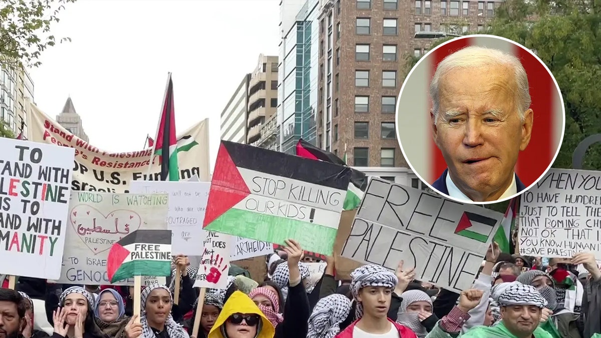 Pro-Palestinian protesters and President Biden